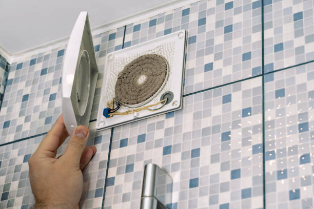 Best Home Air Vent Cleaning  in Des Allemands, LA
