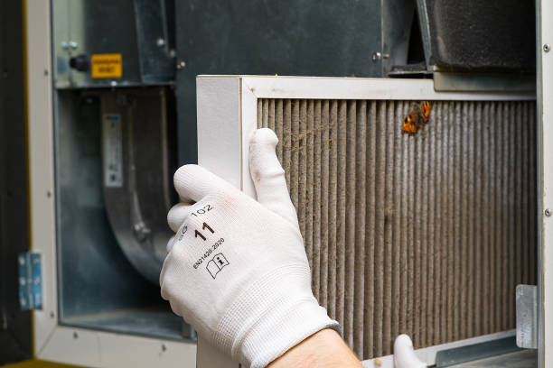 Professional Airduct Cleaning in Des Allemands, LA